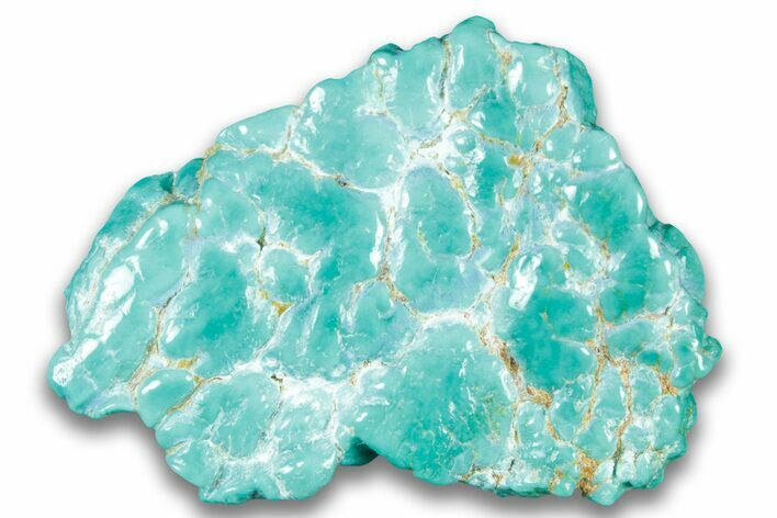 Polished Chilean Turquoise ( grams) Nugget #324104